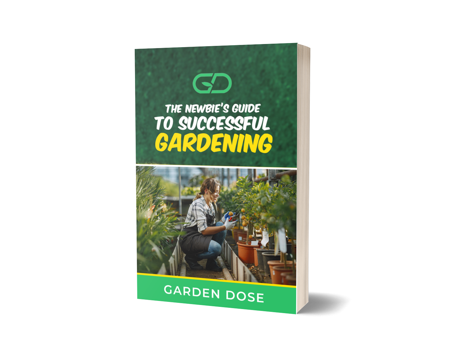 The Newbie's Guide To Successful Gardening