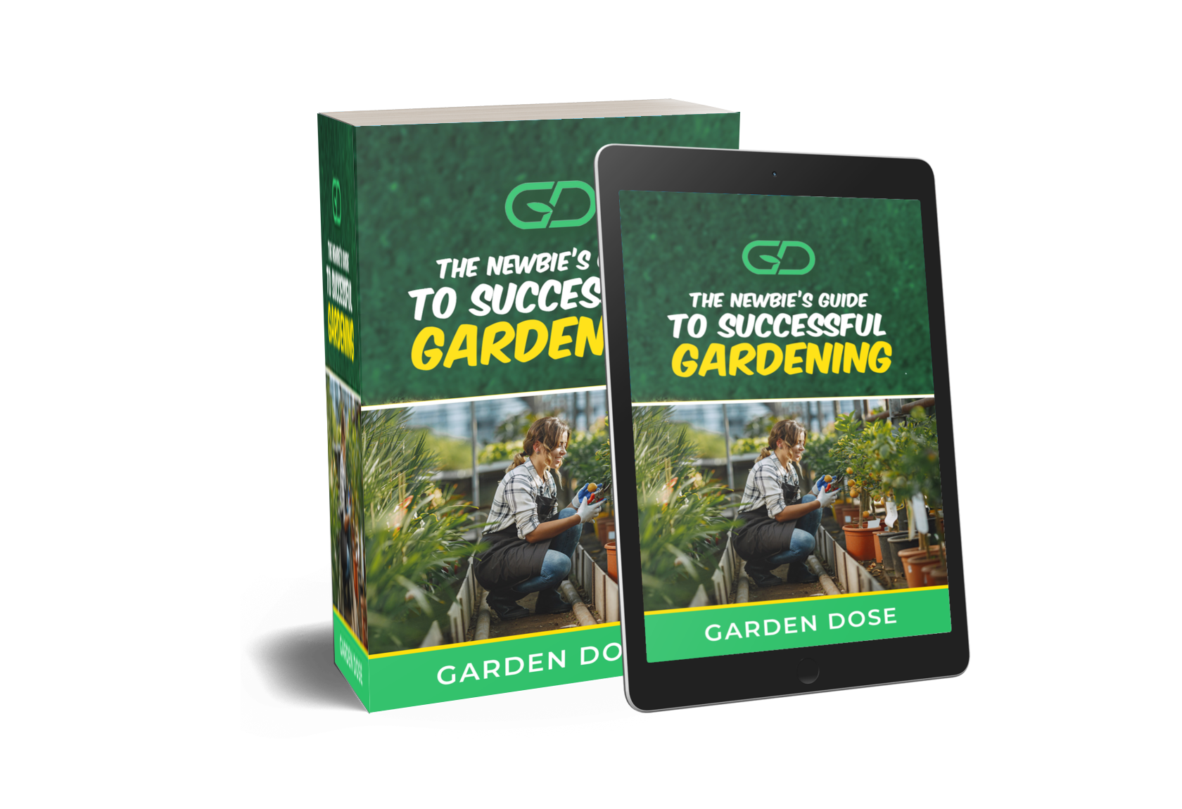 The Newbie's Guide To Successful Gardening