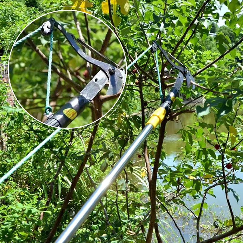 High Altitude Pruning Scissors