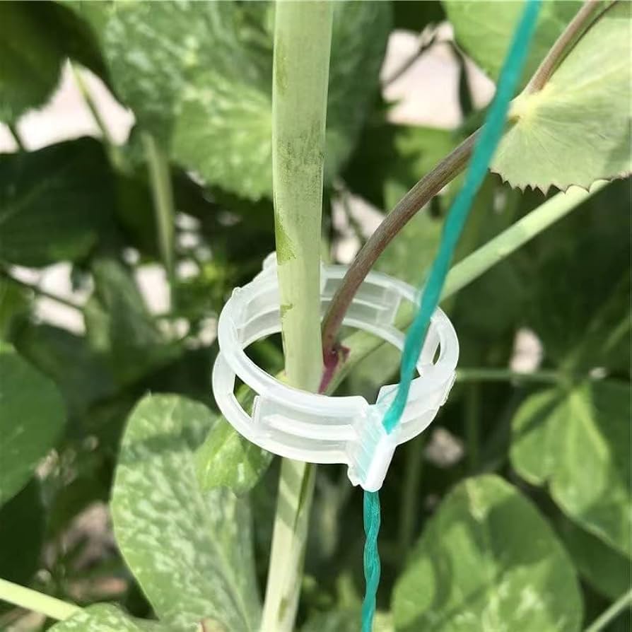 Plant Clips Supports EcoPlastic