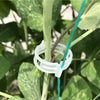 Plant Clips Supports EcoPlastic