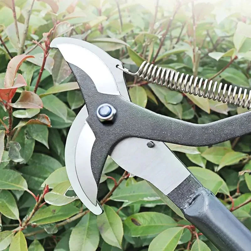 High Altitude Pruning Scissors