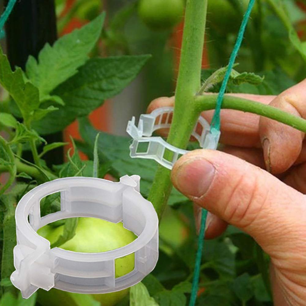 Plant Clips Supports EcoPlastic