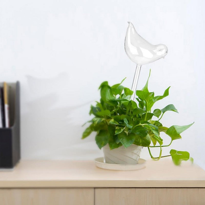 Self-Watering Glass Bulb