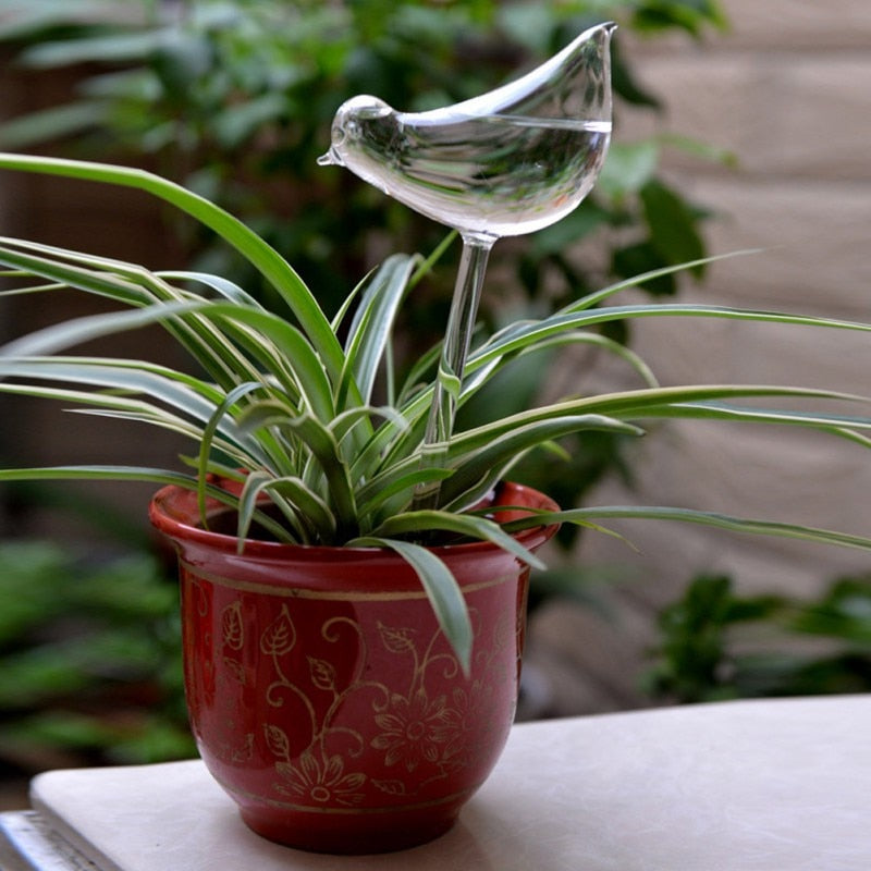 Self-Watering Glass Bulb