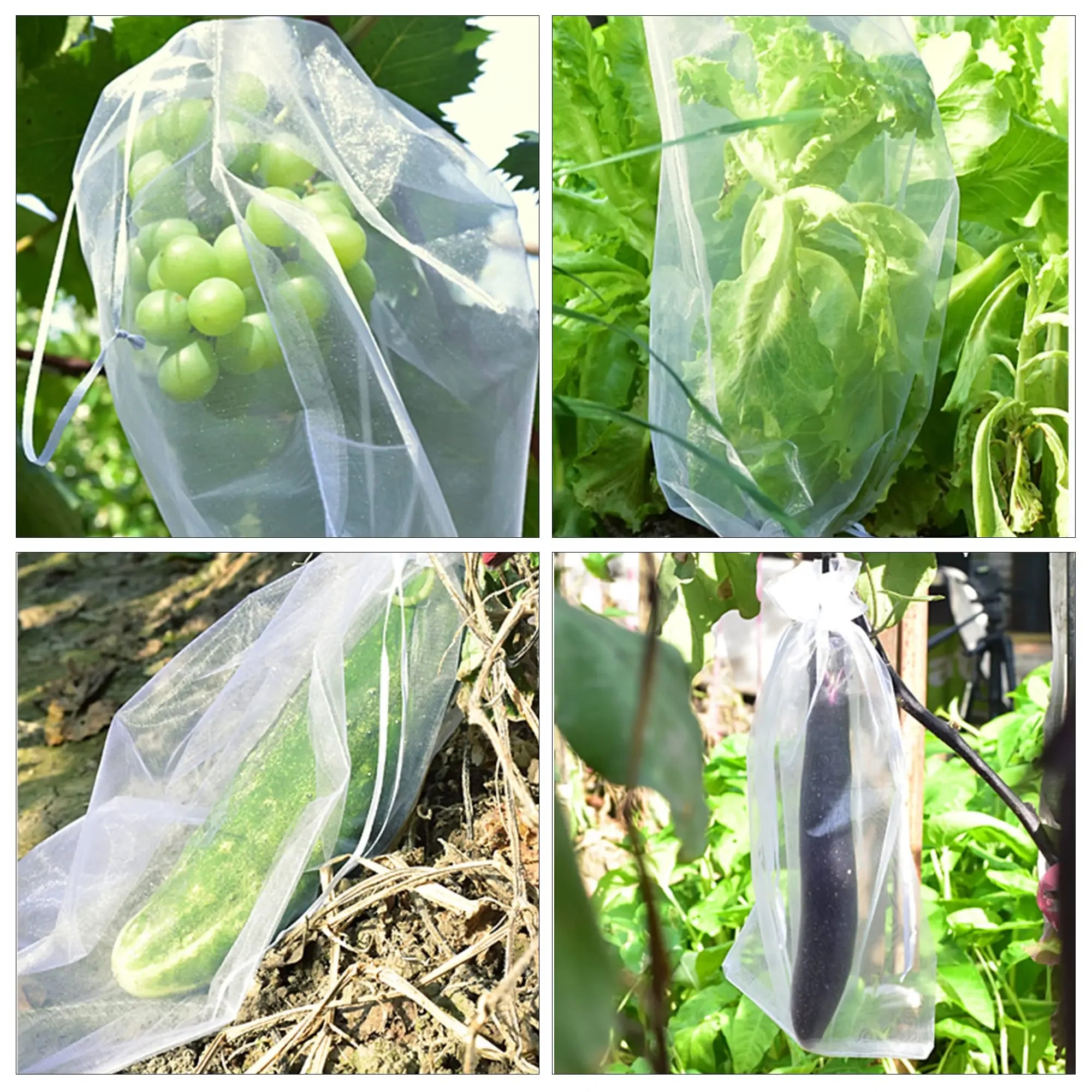 Bag For Protect Fruit From Insects