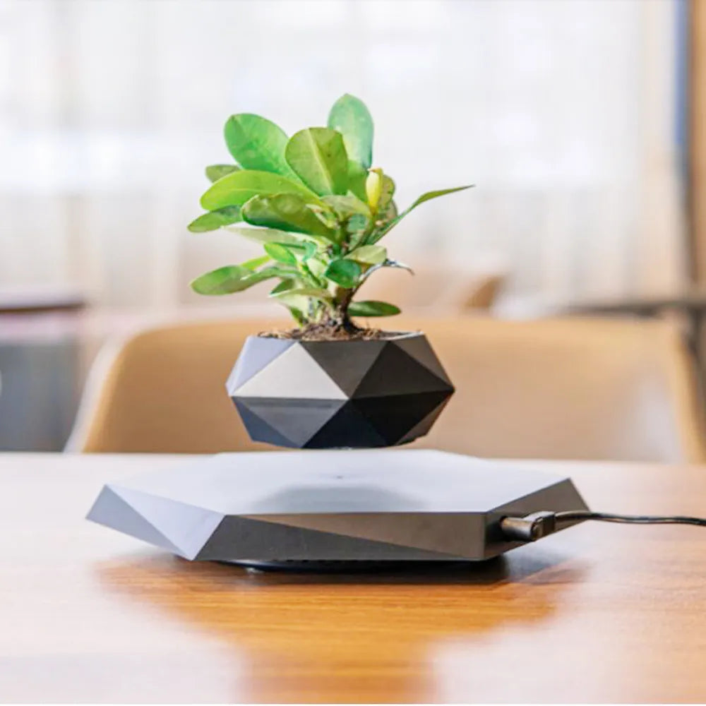 GardenDose Levitating Plant