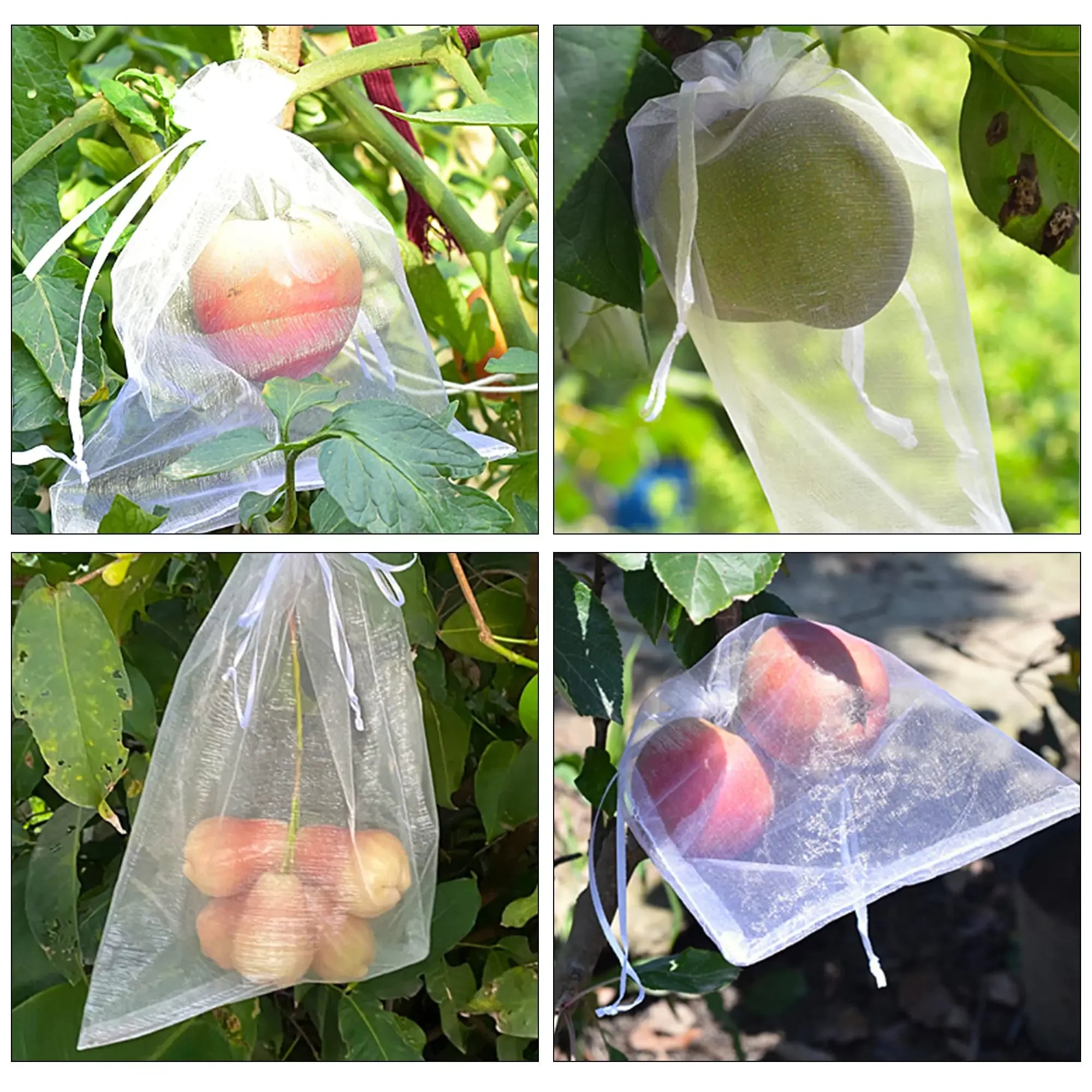 Bag For Protect Fruit From Insects