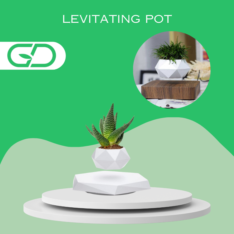 GardenDose Levitating Plant