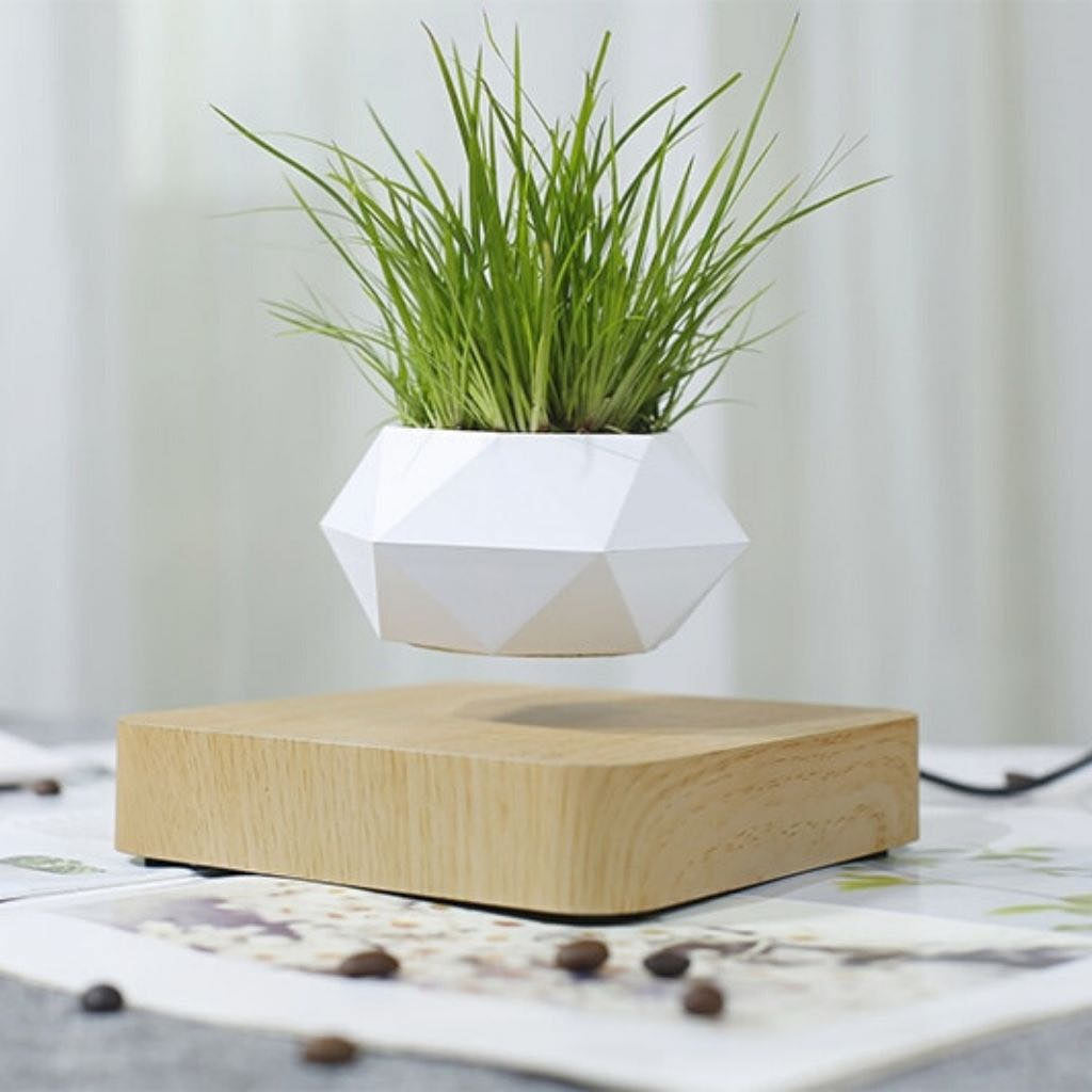 GardenDose Levitating Plant