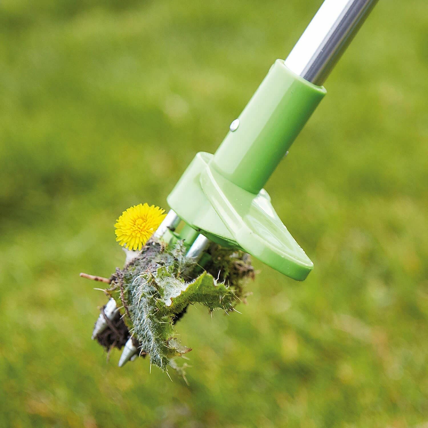 GardenDose Weed Remover