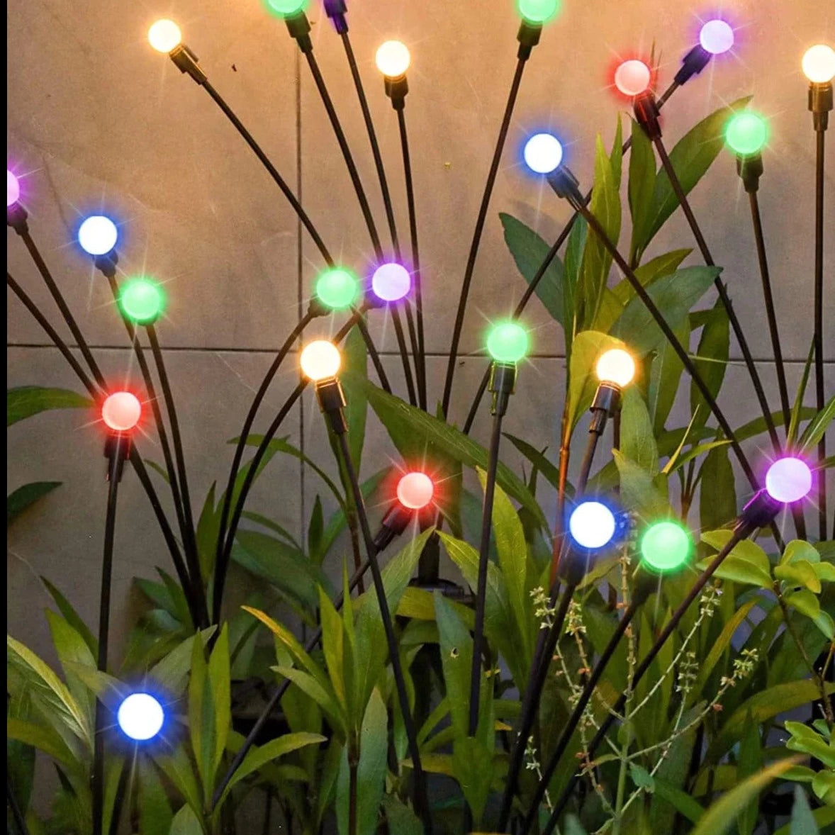 Solar Garden Lights